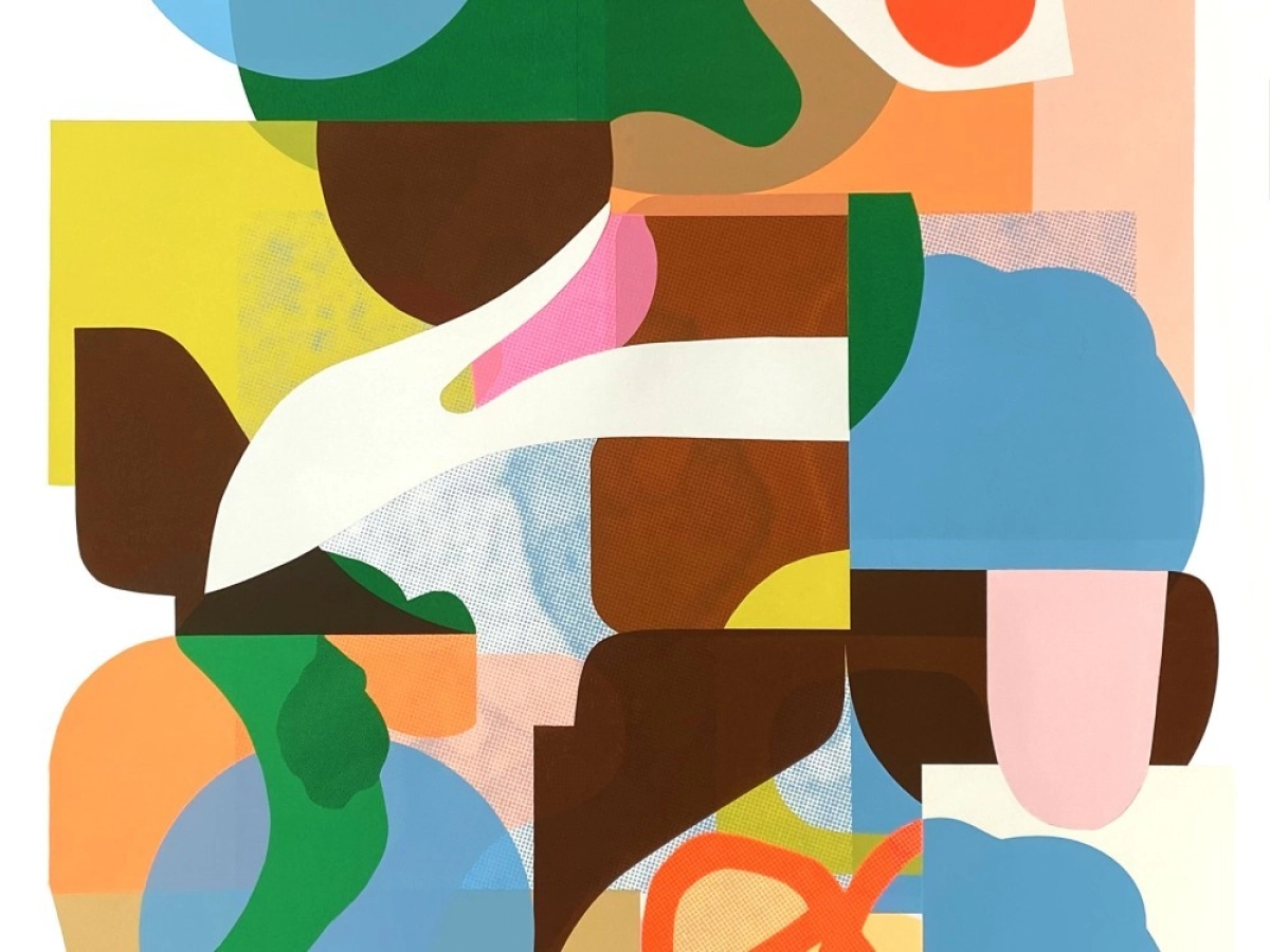 Mara Piccione - Slow Reducer